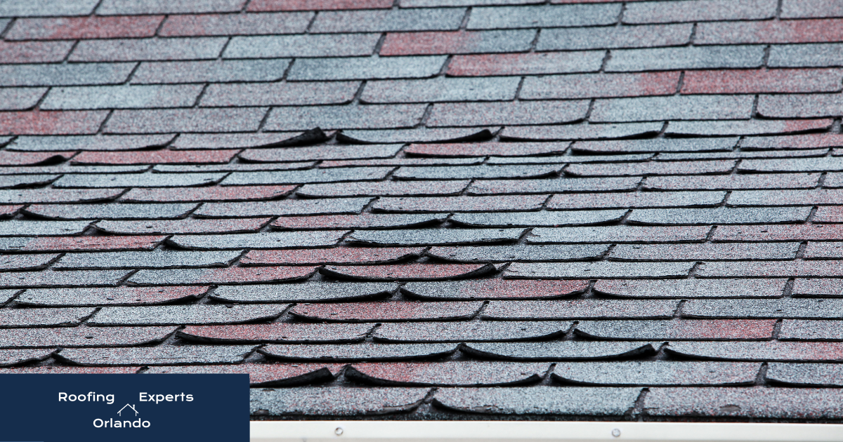 Asphalt Shingle Damage - Roofing Experts Orlando